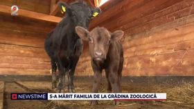 S-a mărit familia de la Grădina Zoologică